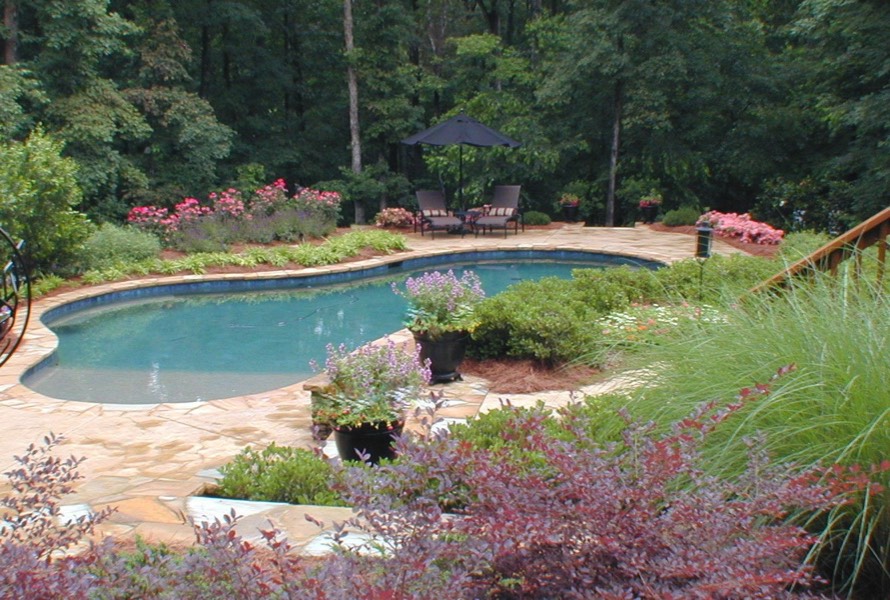 outdoor living swimming pool landscape